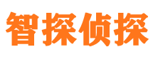 瑞金市私家侦探